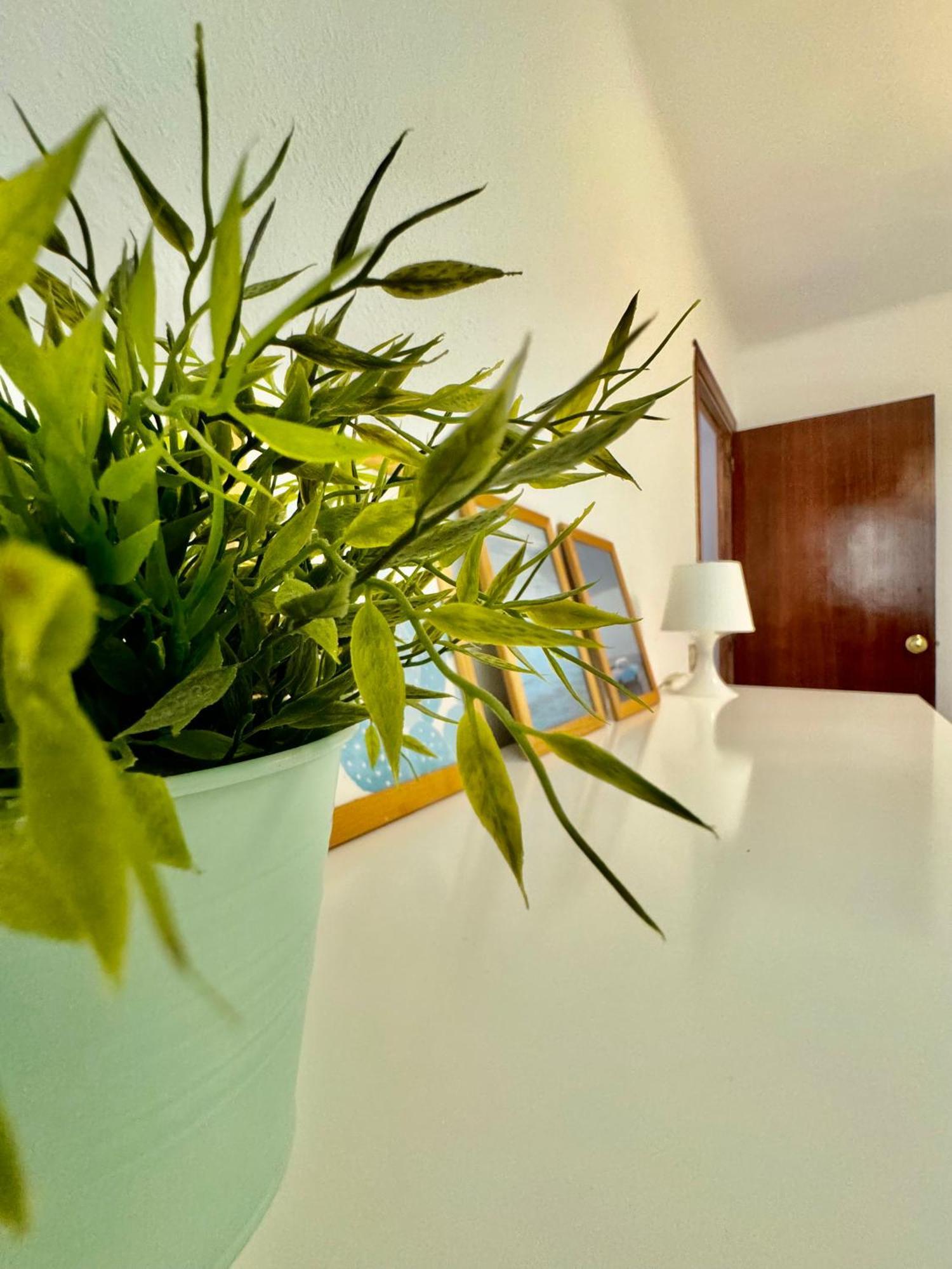Acogedor Apartamento En Málaga Extérieur photo