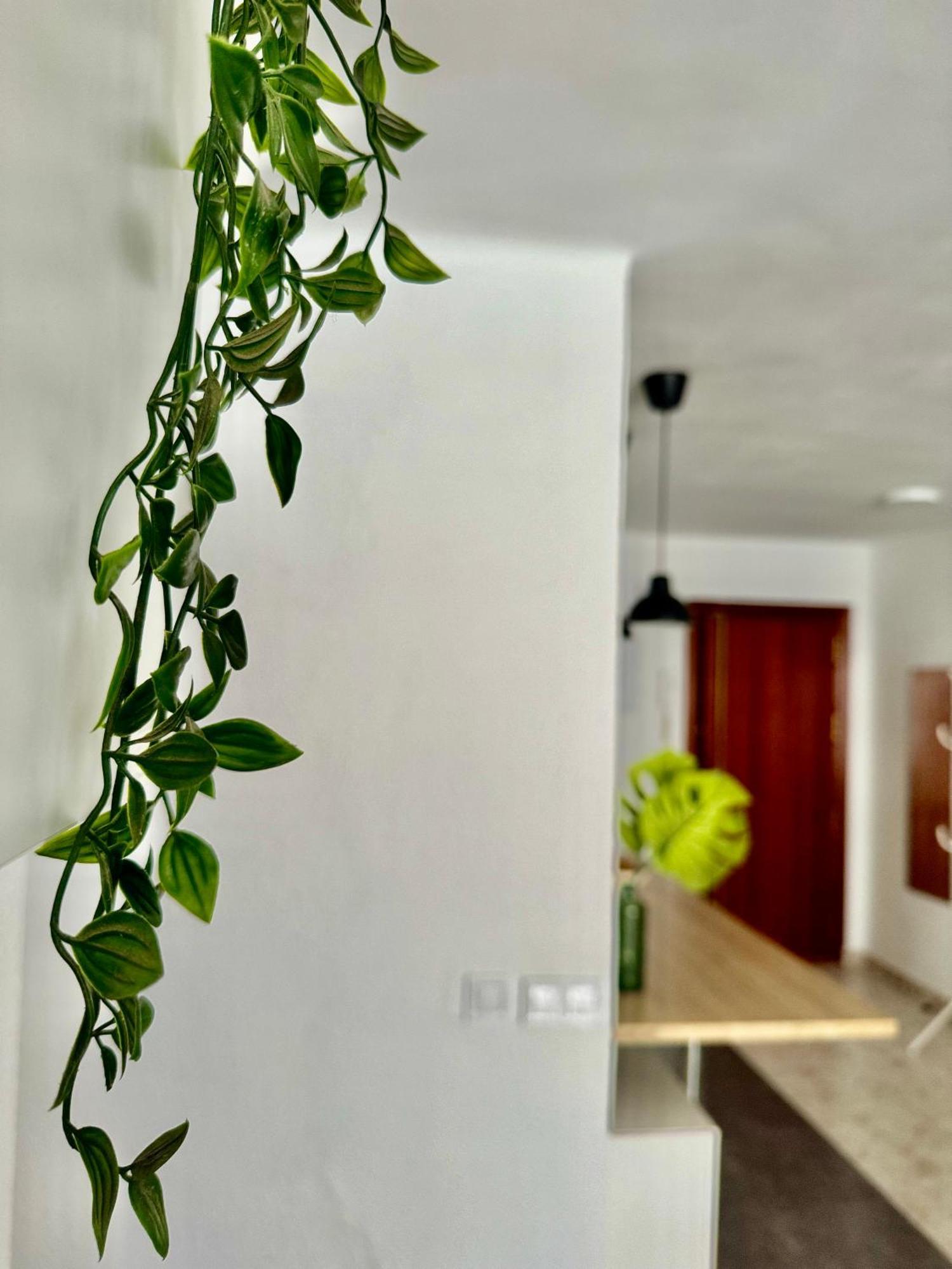 Acogedor Apartamento En Málaga Extérieur photo